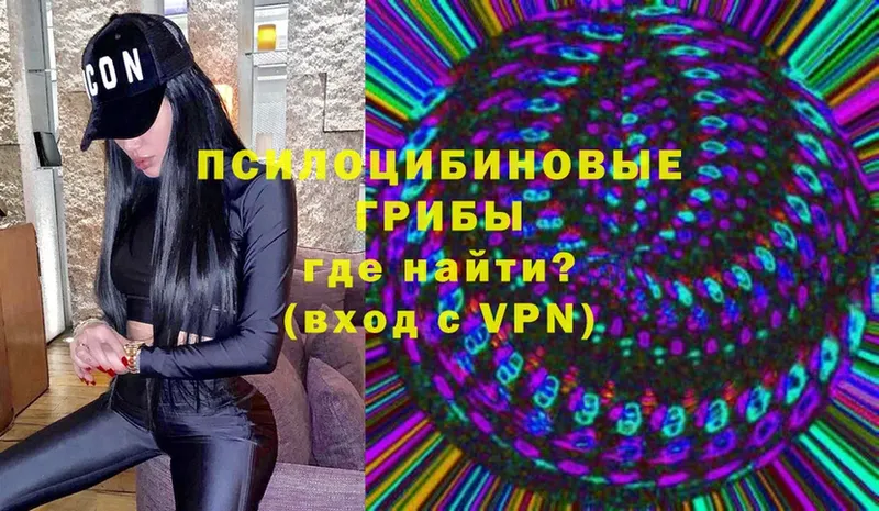 darknet формула  Юрьев-Польский  Псилоцибиновые грибы Psilocybe 